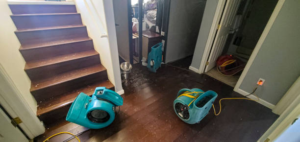 Water damage restoration mold remediation in Devola, OH