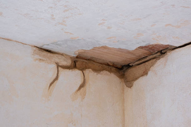 Best 24/7 water damage repair  in Devola, OH