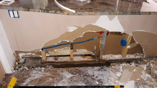 Best Water damage restoration services  in Devola, OH