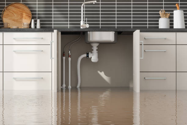 Best Water damage contractors near me  in Devola, OH