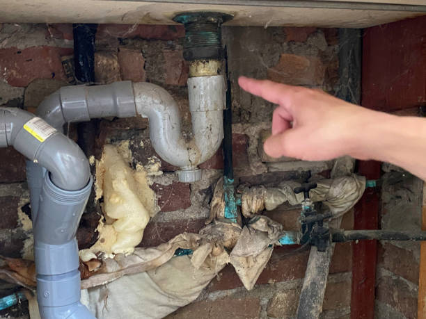 Best Water damage cleanup near me  in Devola, OH