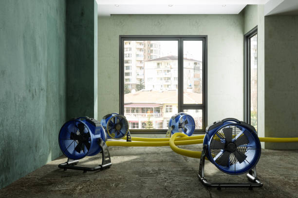 Best Water damage restoration near me  in Devola, OH