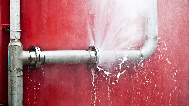 Best Flood damage cleanup  in Devola, OH
